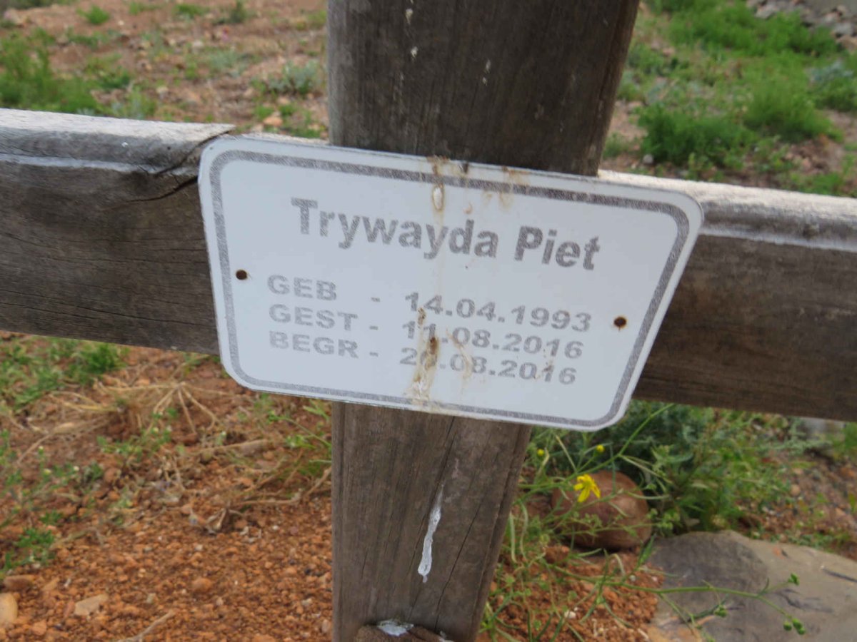 TRYWAYDA Piet 1993-2016