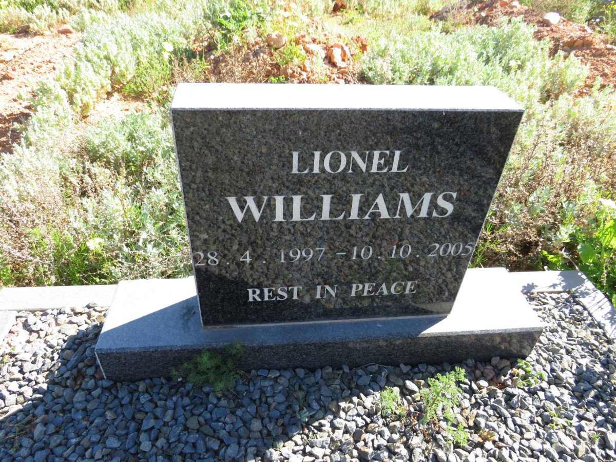 WILLIAMS Lionel 1997-2005