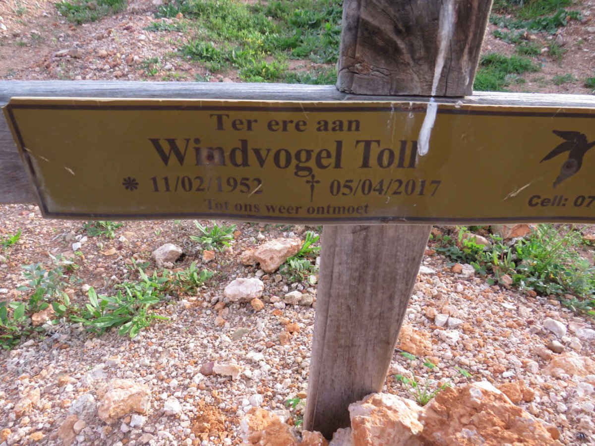 WINDVOGEL Toll 1952-2017