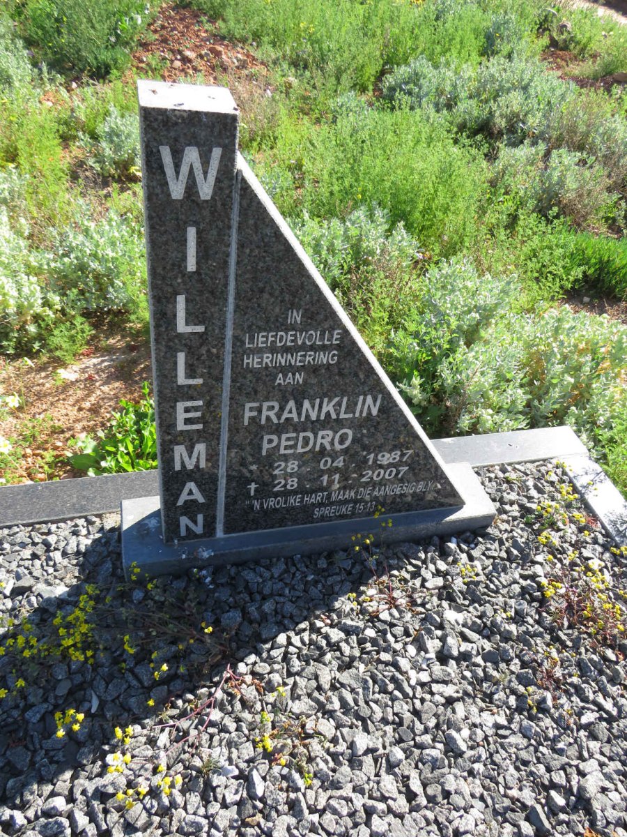 WILLEMAN Franklin Pedro 1987-2007
