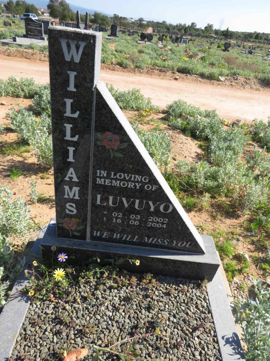 WILLIAMS Luvuyo 2002-2004