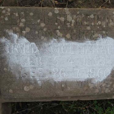 WOLMARANS David 1893-1960