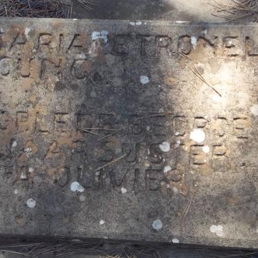 YOUNG Maria Petronella
