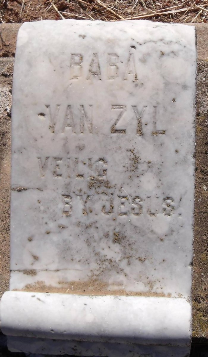 ZYL Baba, van