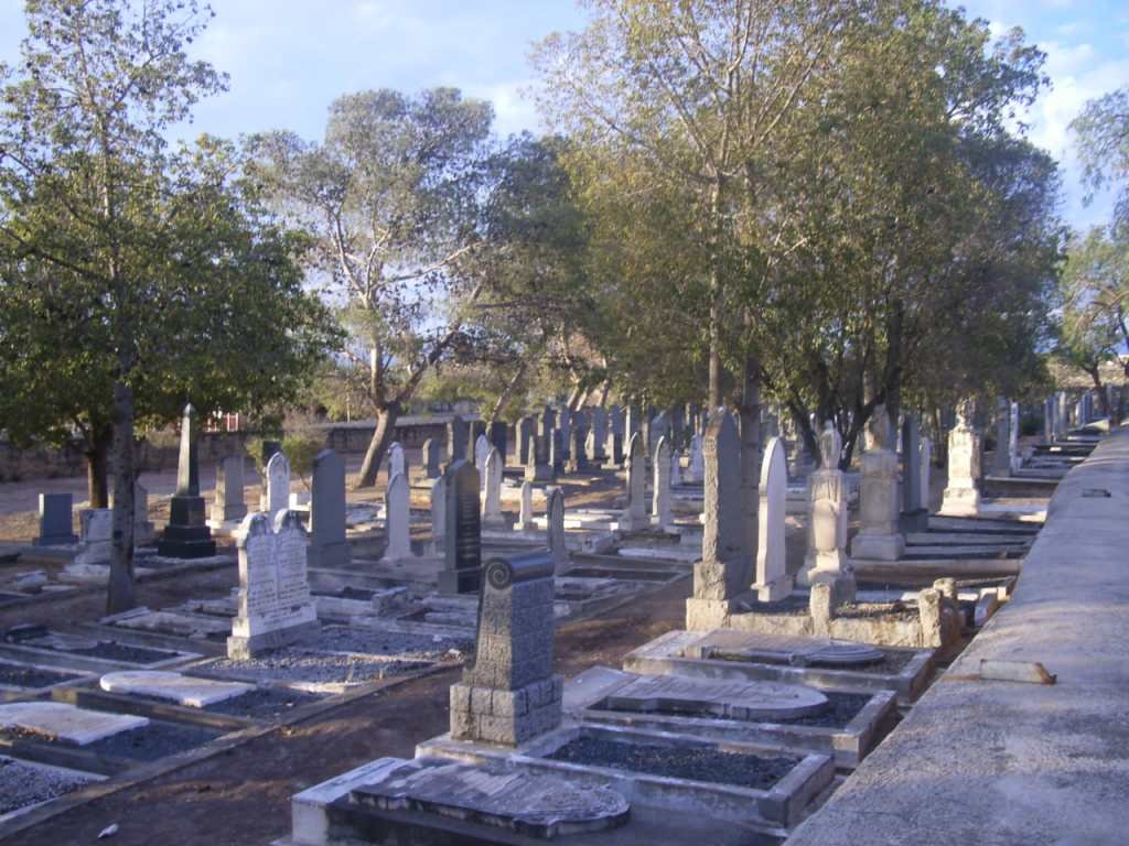 6. Overview