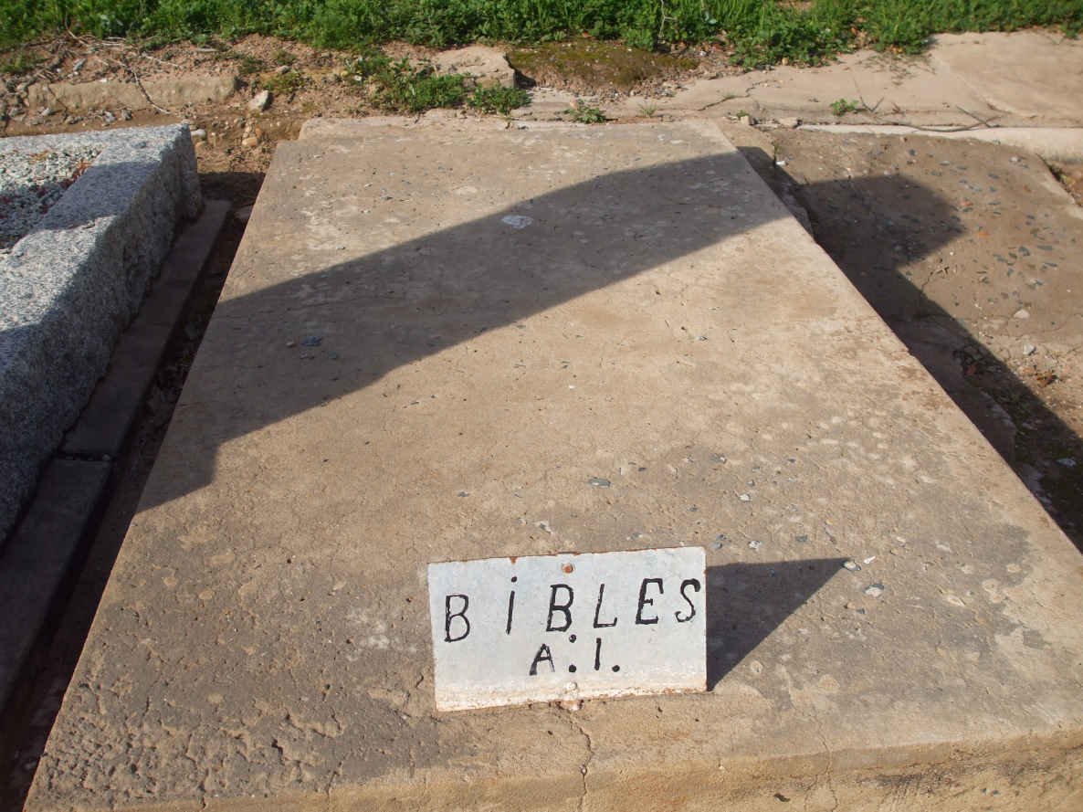 7. Bibles
