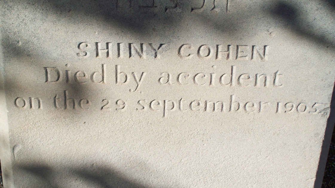 COHEN Shiny   -1905