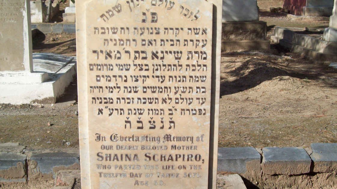 SCHAPIRO Shaina -5671