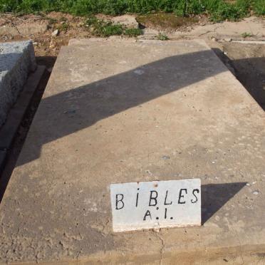 7. Bibles