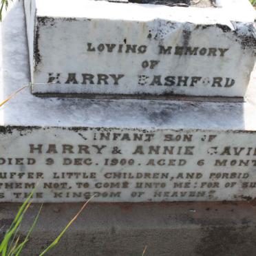 GAVIN Harry Bashford -1900
