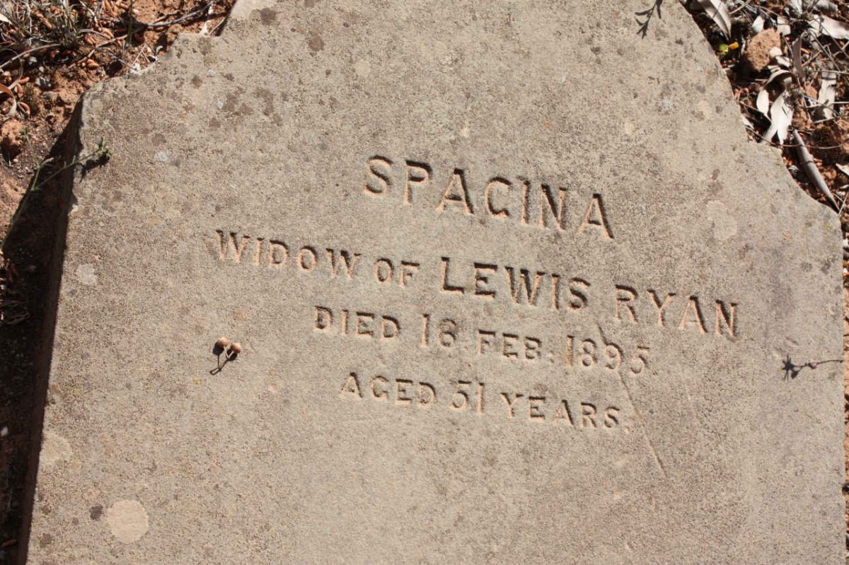 RYAN Spacina -1895