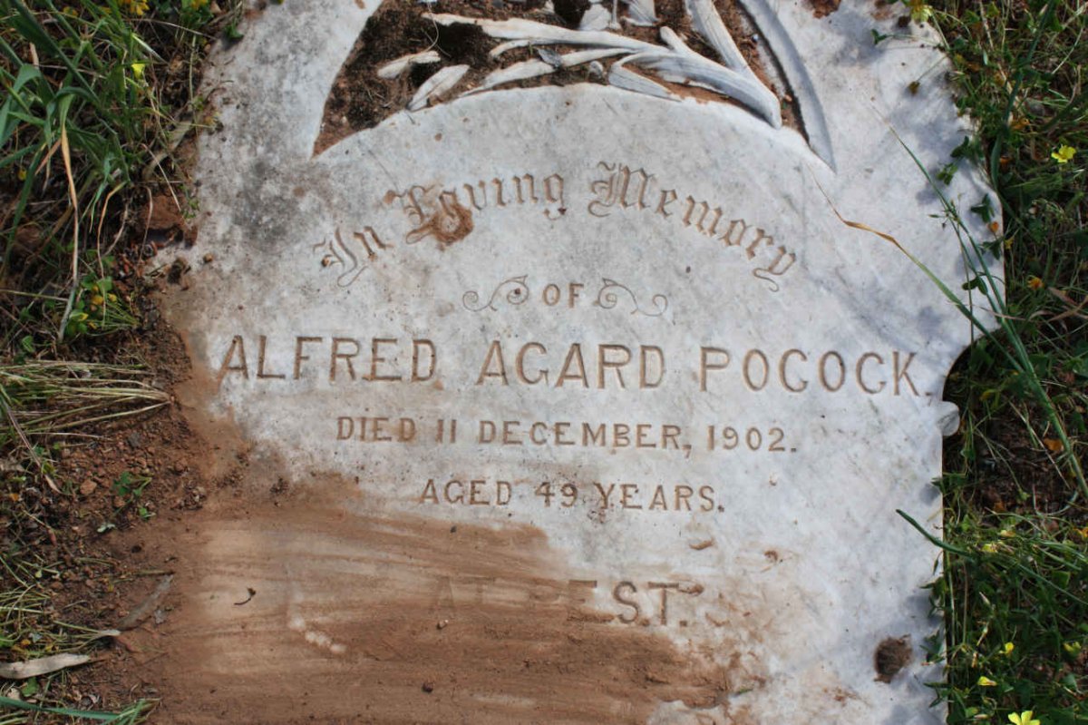 POCOCK Alfred Agard -1902
