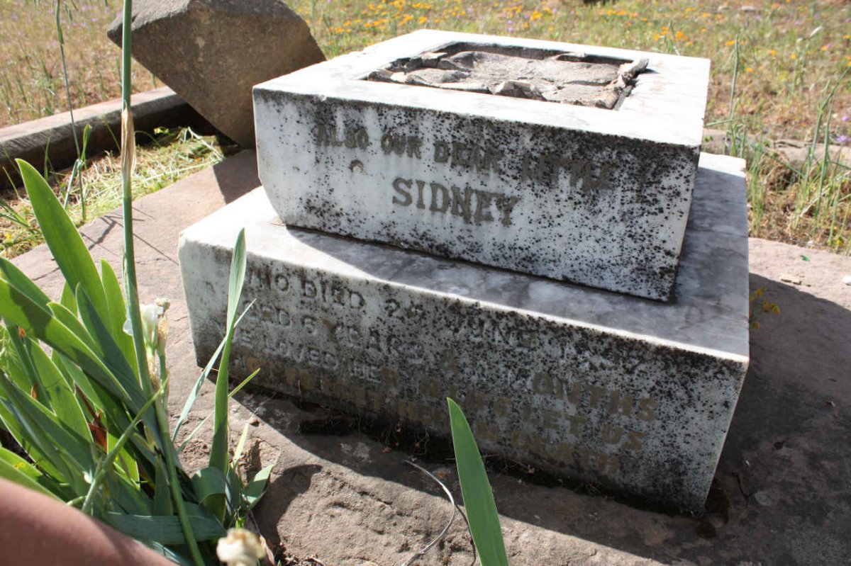 COOPER Sidney -1897