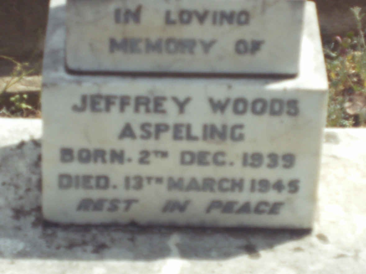 ASPELING Jeffrey Woods 1939-1945