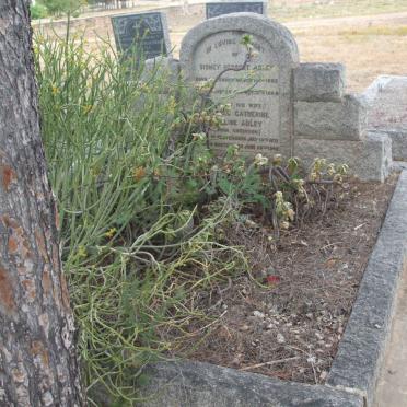 ADLEY Sidney Herbert 1862-1944 &amp; Mildred Catherine Eveline ANDERSON 1871-1948