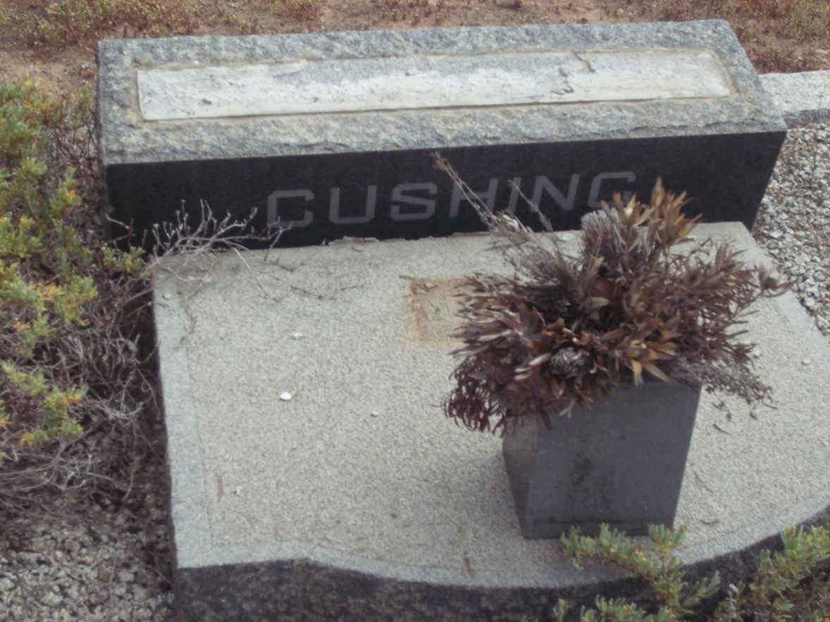 CUSHING ?