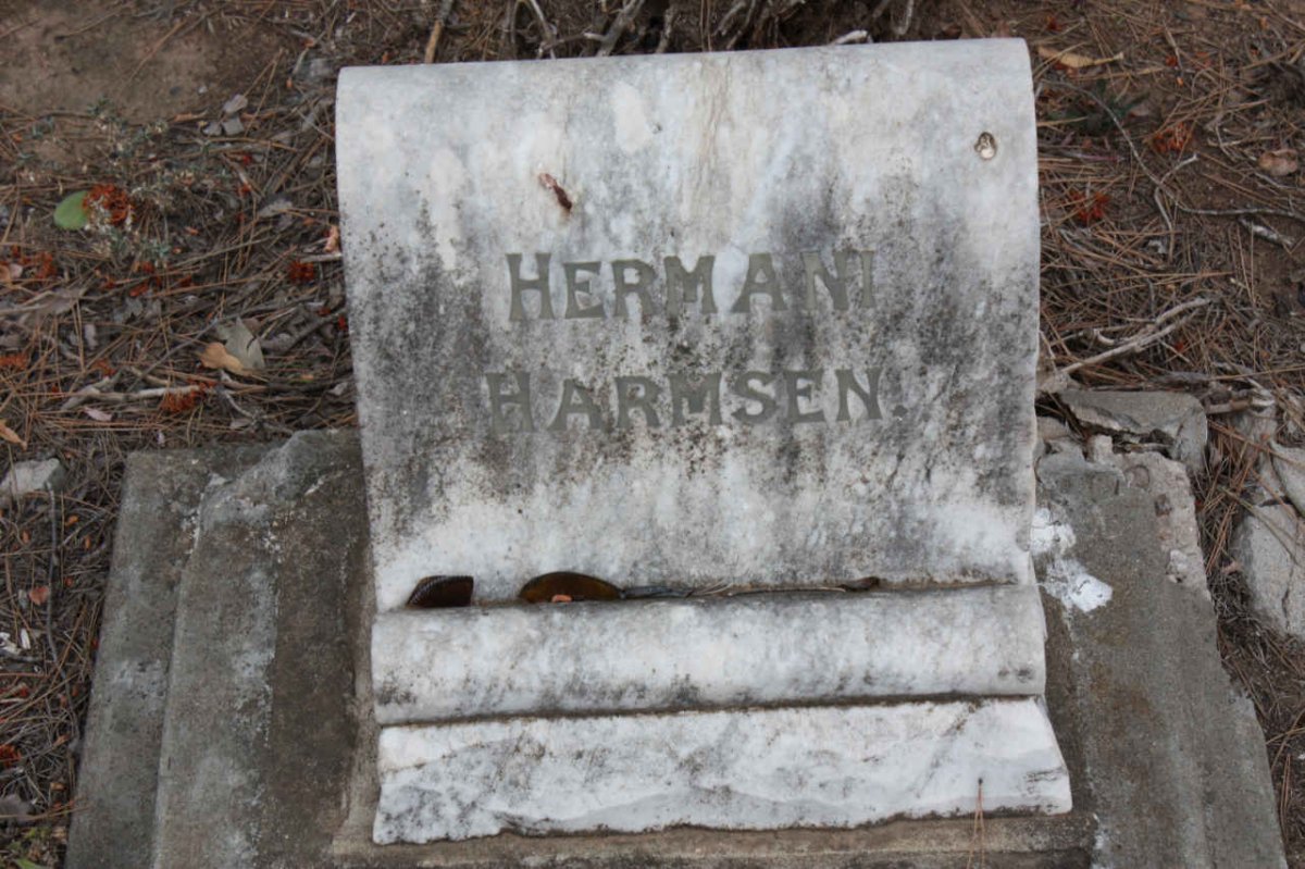 HARMSEN Hermani