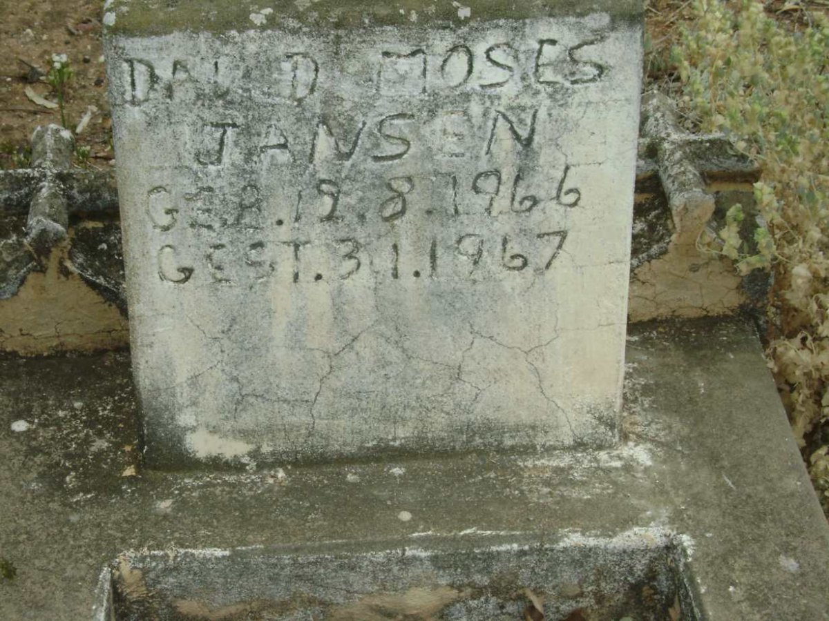 JANSEN David Moses 1966-1967