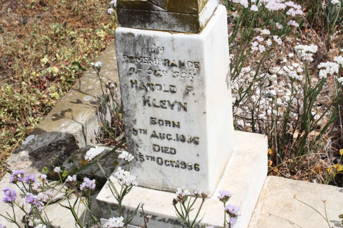 KLEYN Harold P. 1936-1936