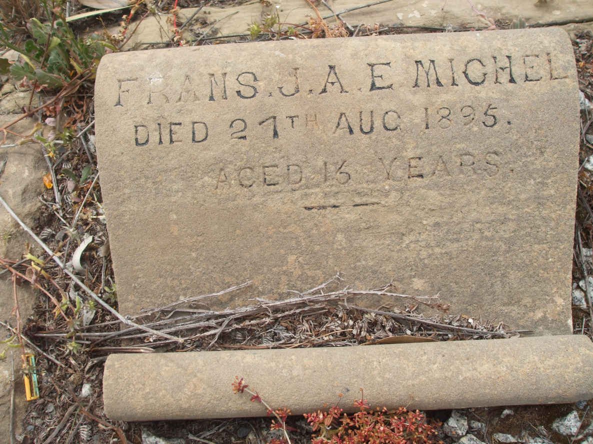 MICHEL Frans J.A.E. -1895