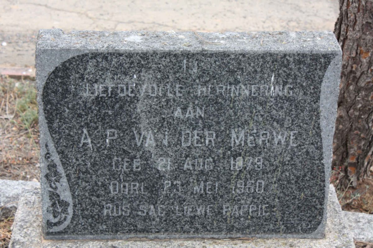MERWE A.P., van der 1879-1960
