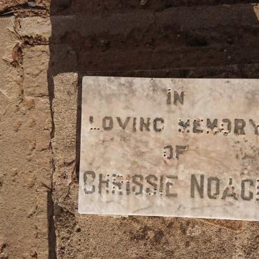 NOACH Chrissie