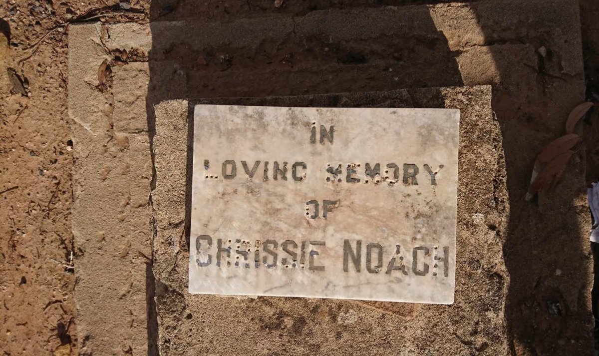 NOACH Chrissie