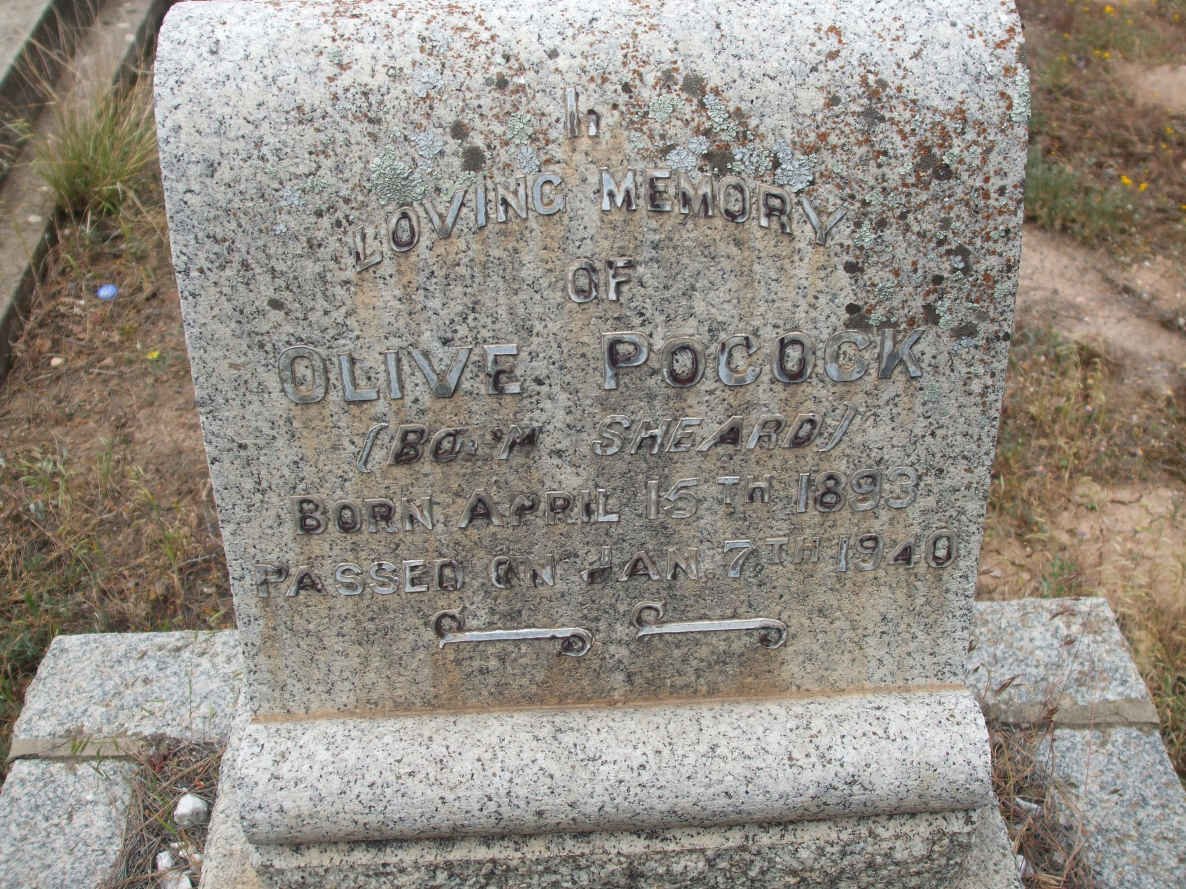 POCOCK Olive nee SHEARD 1893-1940