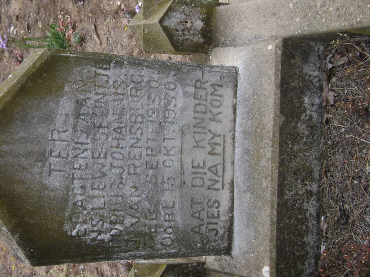RENSBURG Johannis J., van 1930-1930