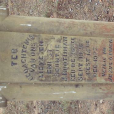 ROOTMAN J. 1926-1927