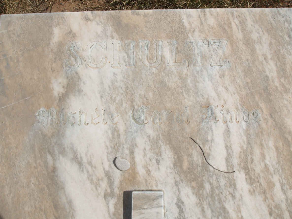 SCHULTZ Michele Carol Linde