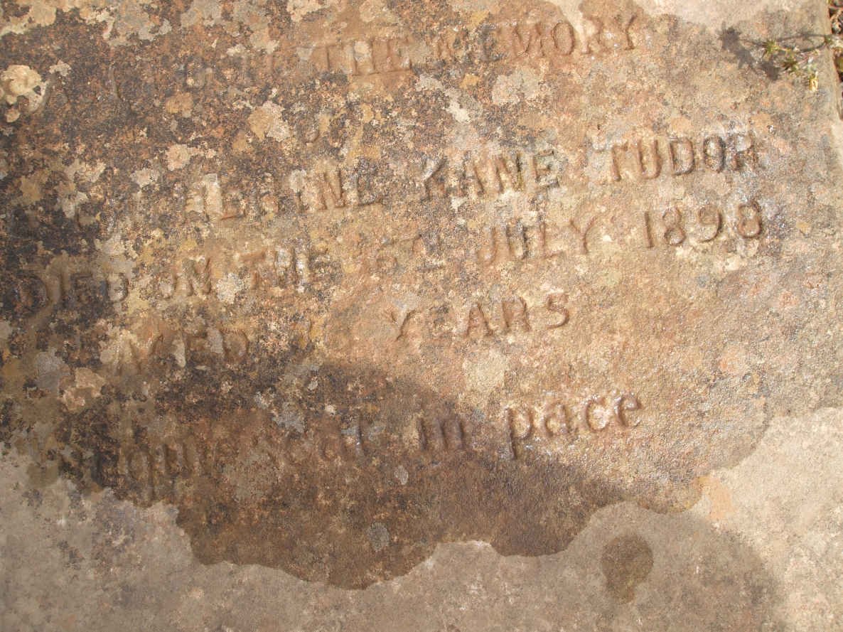 TUDOR Anne Catherine Kane -1898