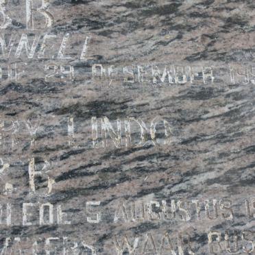 WEBB Richard Henry Lindo 1911-199? &amp; Catherine Dorothea O'CONNELL 1913-1991