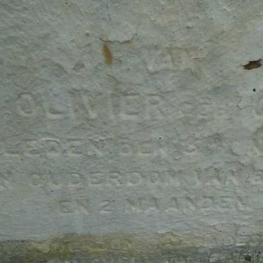 OLIVIER M.S. nee GREEFF -188?
