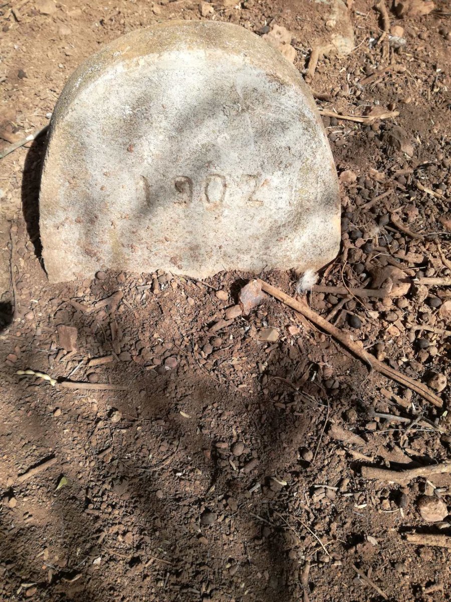 ? 1902