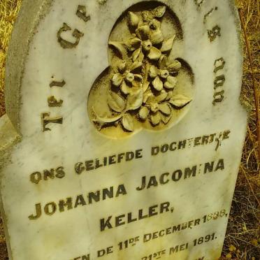 Western Cape, OUDTSHOORN district, Stolsvlakte 140_2, farm cemetery