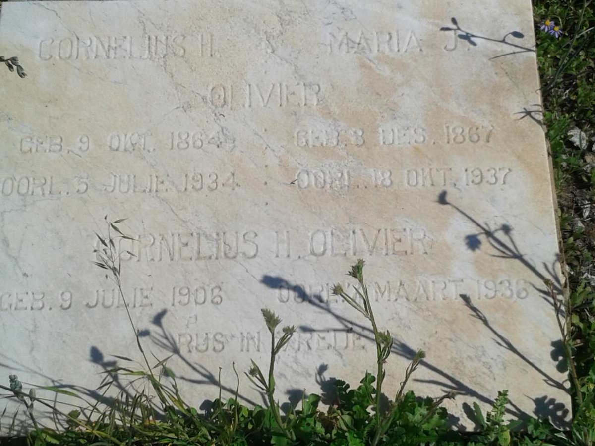 OLIVIER Cornelius H. 1864-1934 &amp; Maria J. 1867-1937 :: OLIVIER Cornelius H. 1906-1936