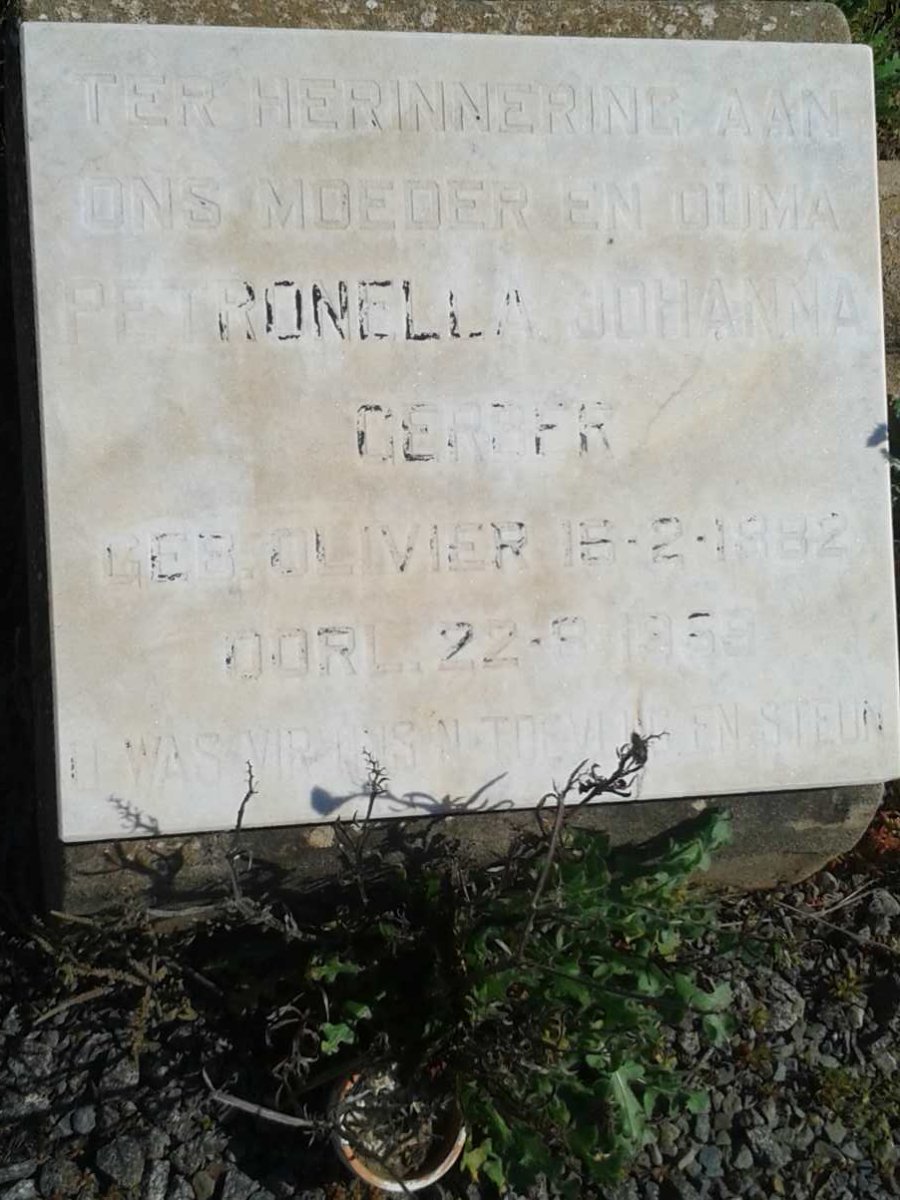 GERBER Petronella Johanna nee OLIVIER 1882-19?9