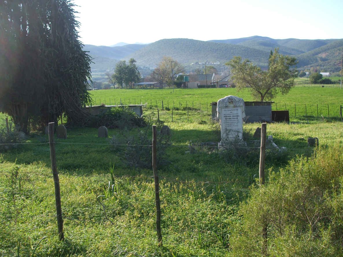 1. Overview