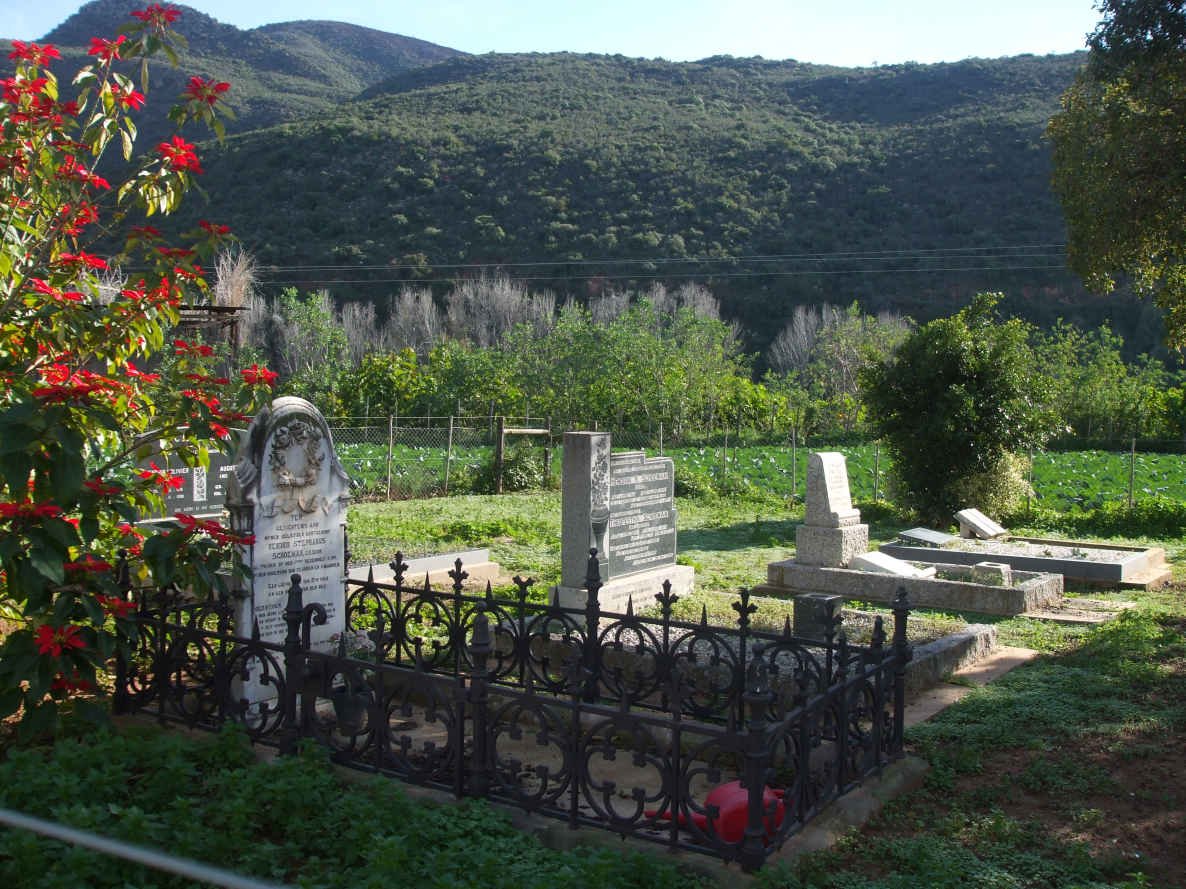 3. Overview