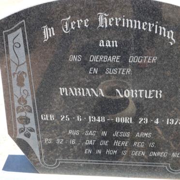 Western Cape, OUDTSHOORN district, Roodeheuvel 141_4, farm cemetery
