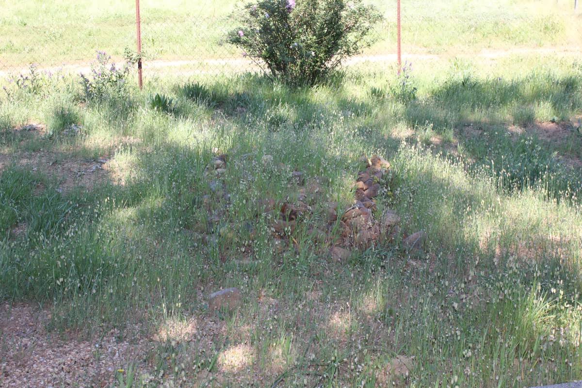 ? Unmarked grave
