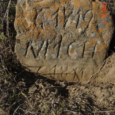 GIV179? NMCH -1811