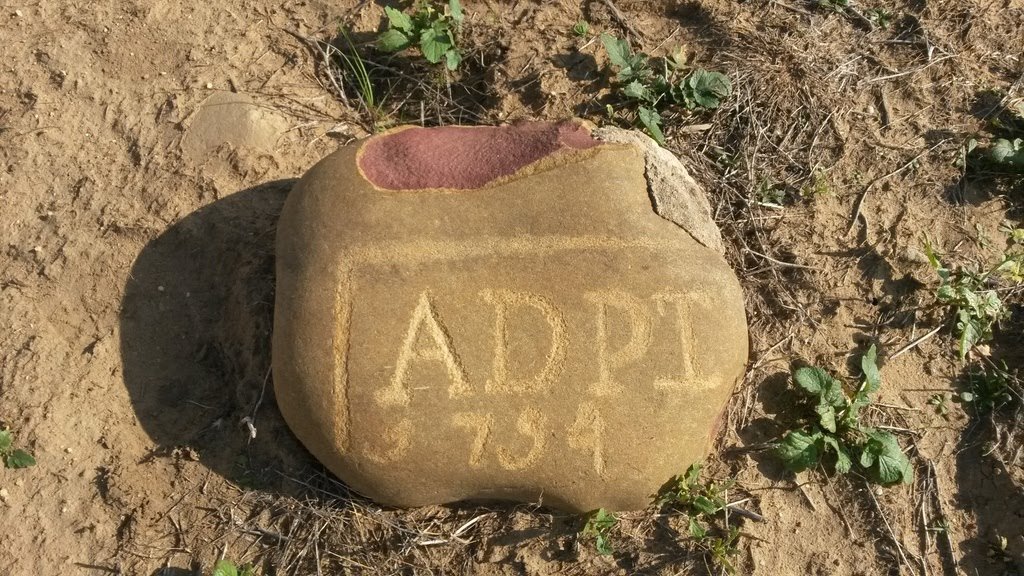 ADPT -17?4