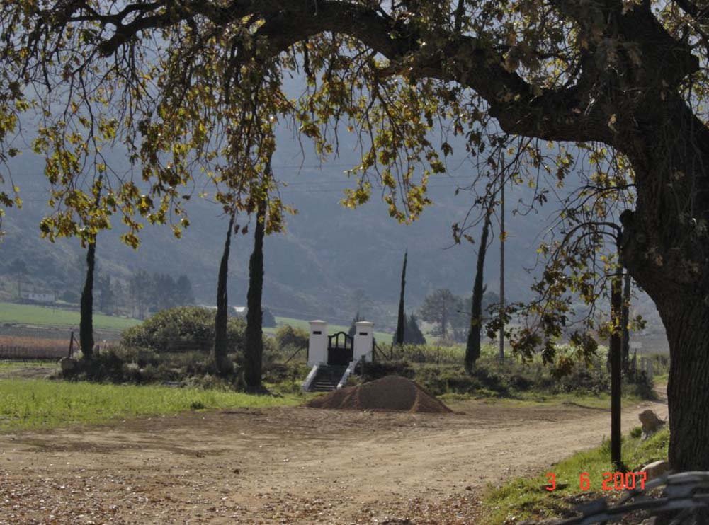 1. From a distance
