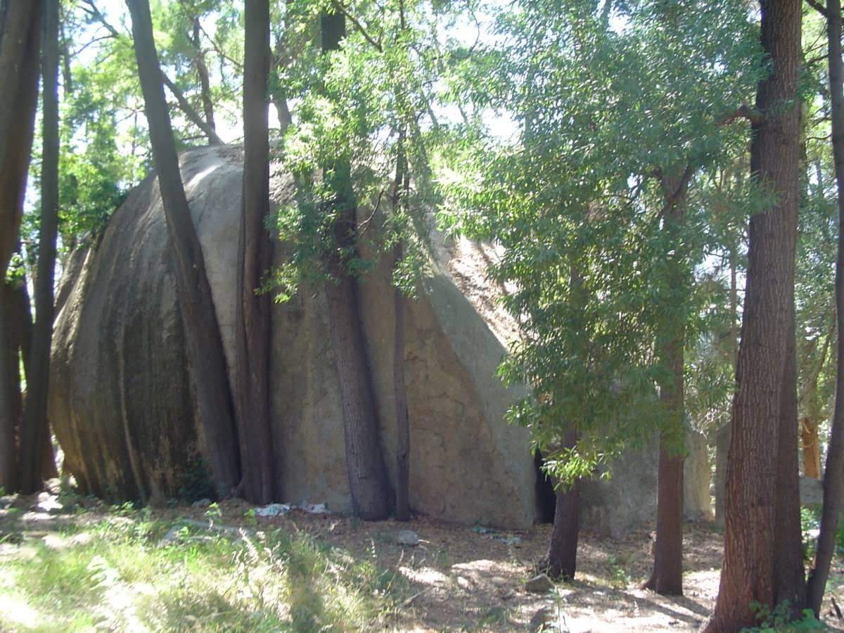 4. Overview