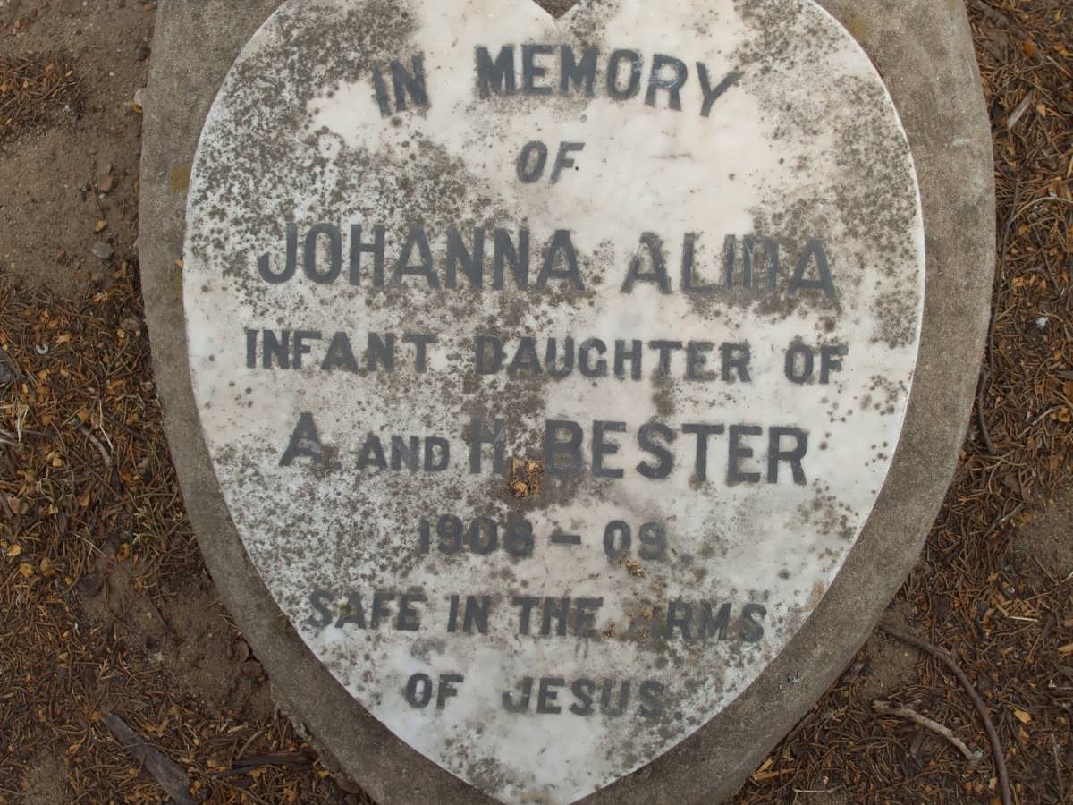 BESTER Johanna Alida  1908-1909