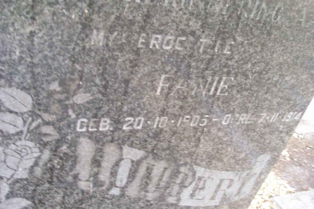JOUBERT Fanie 1906-1914