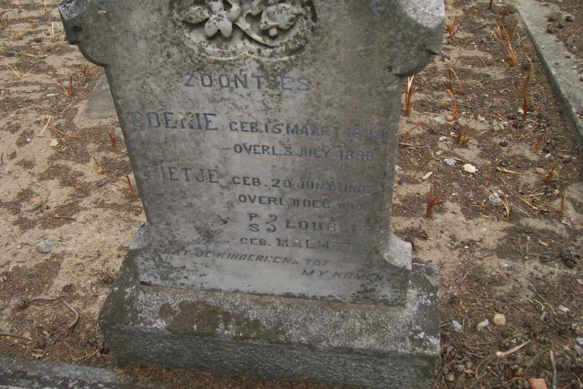 LOUBSER Coenie 1893-1895 :: LOUBSER Pietje 1902-1908