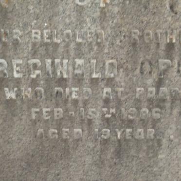 OPIE Reginald -1906